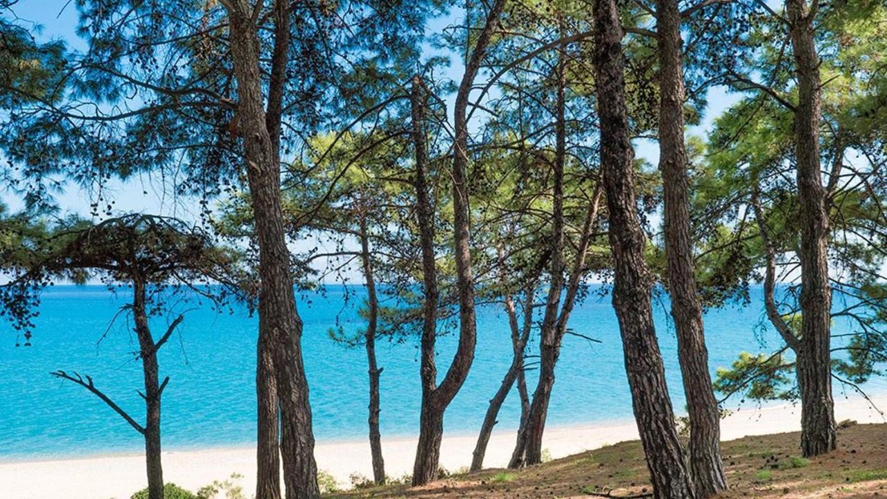Blue Jasmine Hotel Skala  Exteriér fotografie